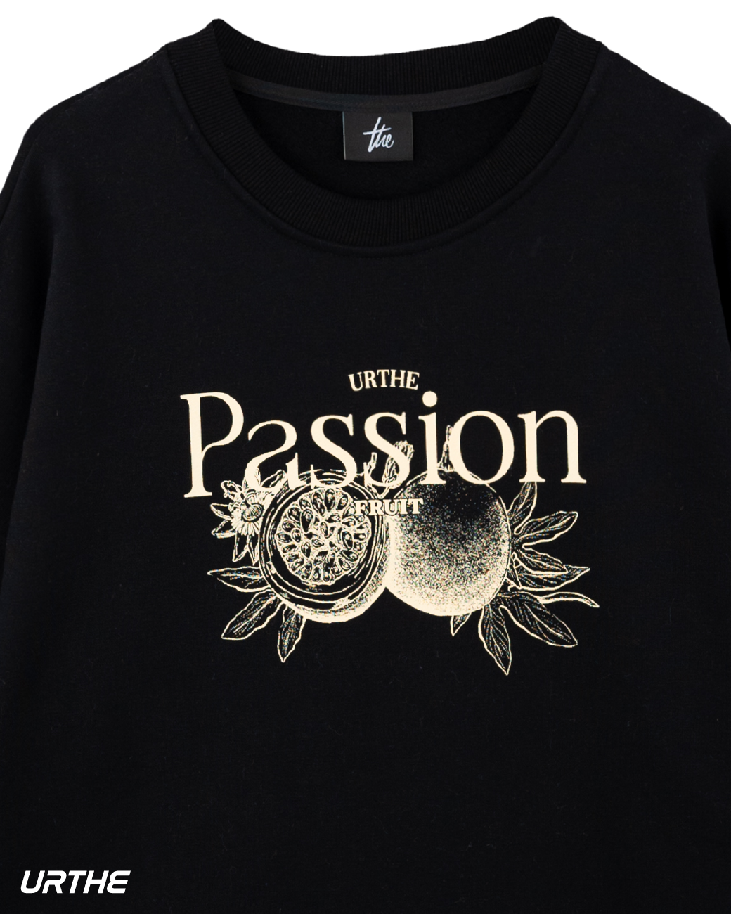 URTHE - เสื้อสเวตเตอร์ แขนยาว สกรีนลาย รุ่น THE PASSION FRUIT SWEATER